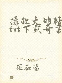 摄政大明精校版txt下载奇书封面