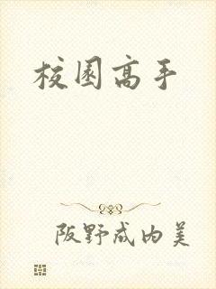 校园高手