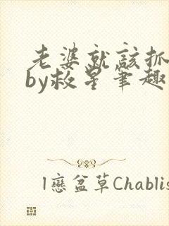 老婆就该抓起来by救星笔趣阁