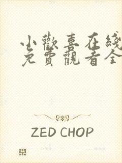 小欢喜在线观看免费观看全集高清