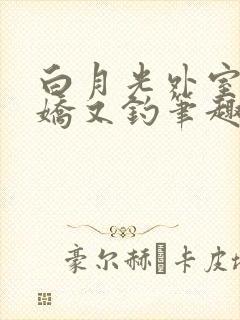 白月光外室她又娇又钓笔趣阁