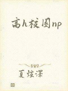 高h校园np封面