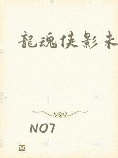 龙魂侠影未删减