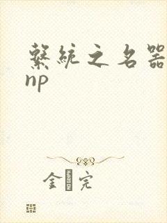 系统之名器攻略np封面