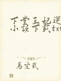 下堂王妃逆袭记小说下载txt