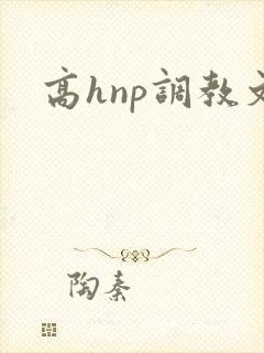 高hnp调教文