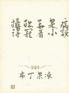 摄政王是病娇,得宠着小说