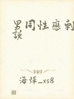 男同性恋刺激小说