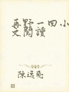 再野一回小说全文阅读