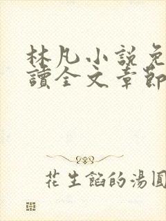 林凡小说免费阅读全文章节