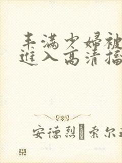 丰满少妇被猛烈进入高清搐封面