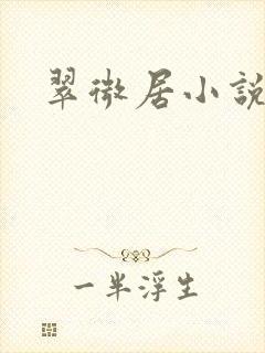 翠微居小说封面