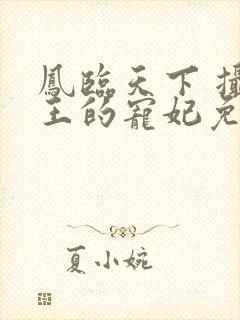 凤临天下 摄政王的宠妃免费阅读