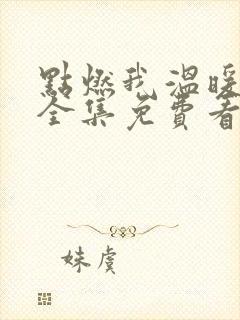 点燃我温暖你在全集免费看电视剧封面