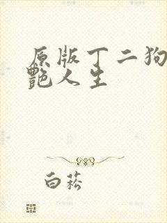 原版丁二狗的猎艳人生
