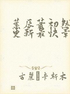 叶辰萧初然刚刚更新最快章节