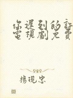 你迟到的许多年电视剧免费完整版