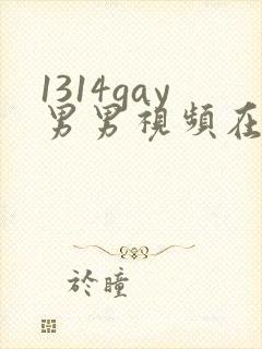 1314gay男男视频在线观看封面