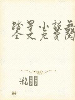 踏星小说无弹窗全文免费阅读