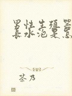 男性生殖器上面长水泡是怎么回事封面