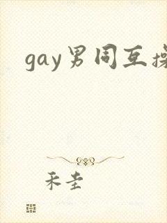 gay男同互操