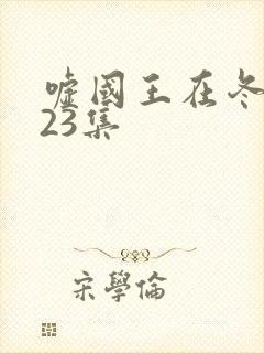 嘘国王在冬眠共23集