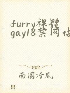 furry裸体gay18禁网站