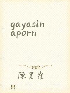 gayasinaporn封面