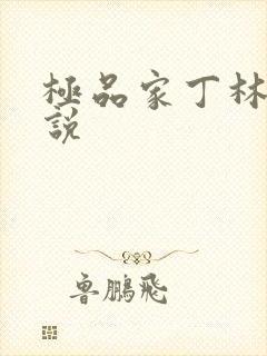 极品家丁林三小说