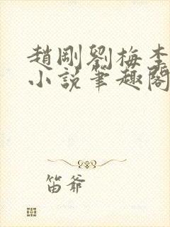 赵刚刘梅李晓雅小说笔趣阁