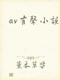 av有声小说