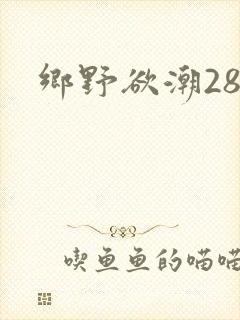 乡野欲潮28章封面