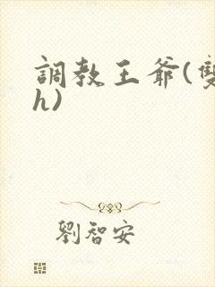 调教王爷(双性h)