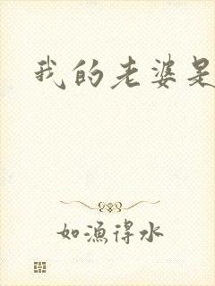 我的老婆是军阀