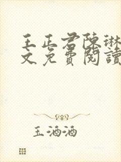 王正君陈琳洁全文免费阅读最新章节封面