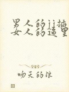 男人的jj插入女人的逼里视频