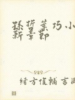 孙哲叶巧小说最新章节封面