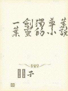 一剑独尊叶玄,叶灵的小说