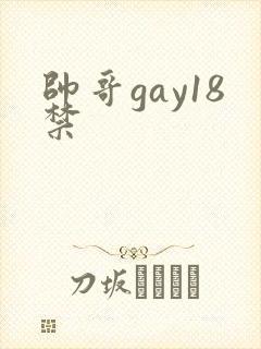帅哥gay18禁
