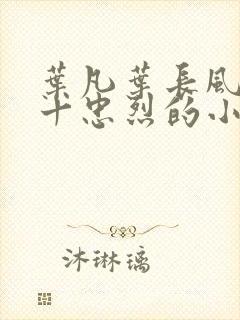 叶凡叶长风一门十忠烈的小说封面