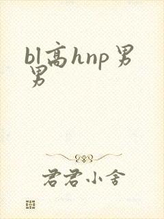 bl高hnp男男