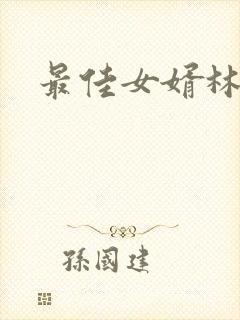 最佳女婿林凡封面