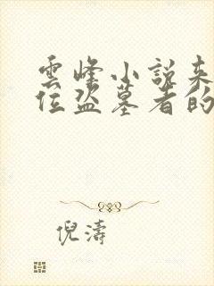 云峰小说来自一位盗墓者的自传封面