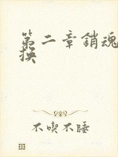 第二章销魂的交换封面