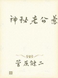 神秘老公惹不起