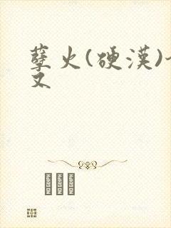 孽火(硬汉)今又