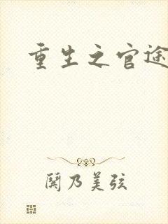 重生之官途辉煌