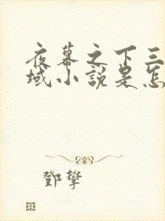 夜幕之下三九音域小说是怎样的书