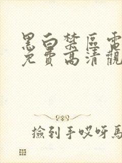 黑白禁区电视剧免费高清观看全集