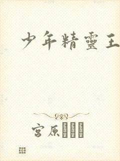 少年精灵王